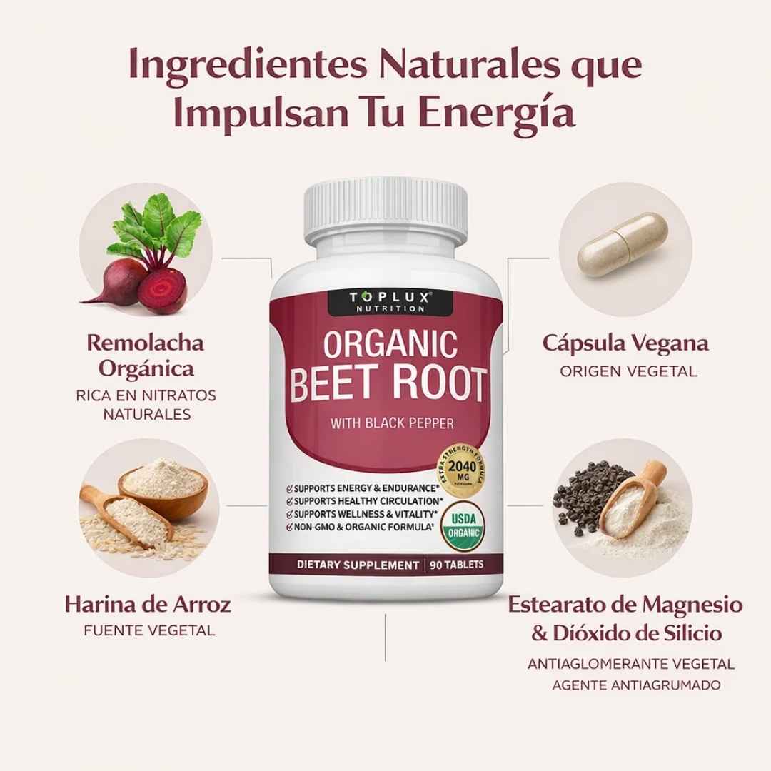 Encabezado